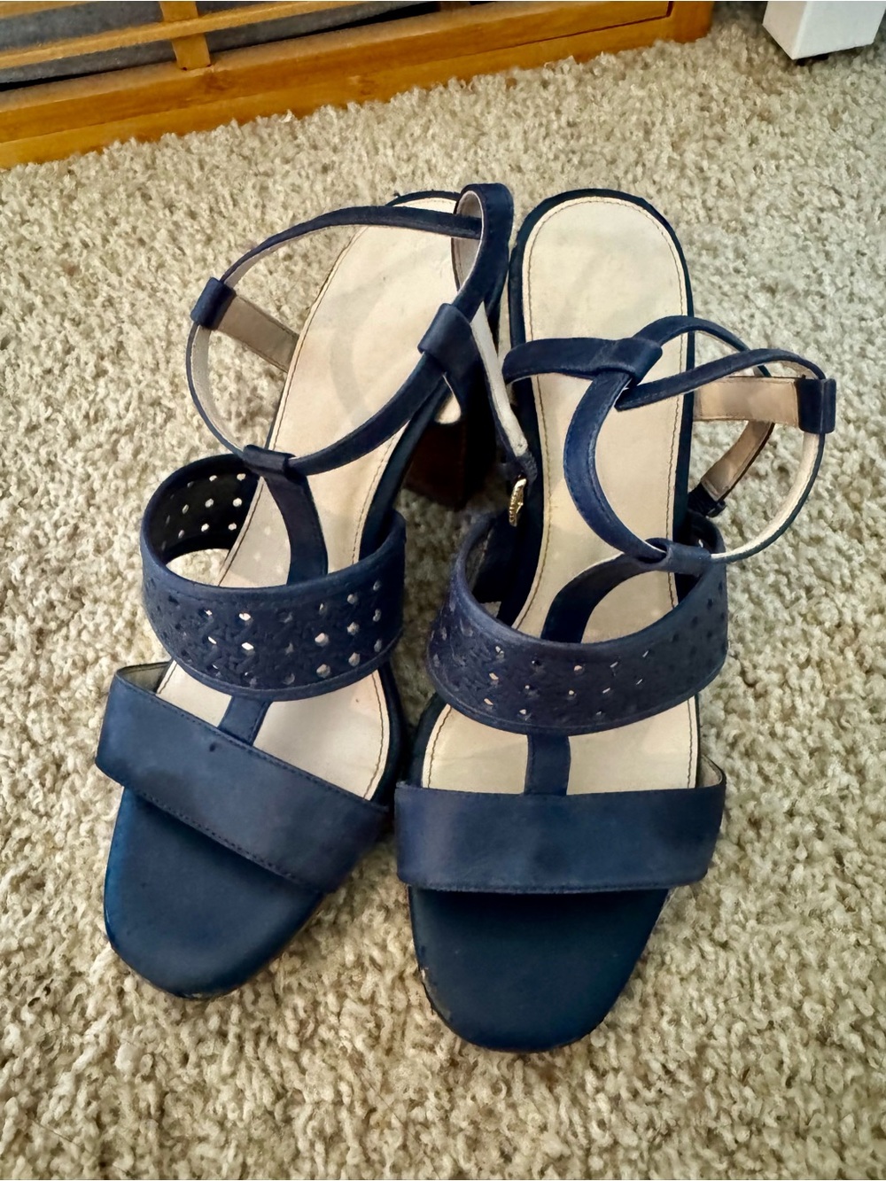 Cole Haan Navy Strappy Block Heel Sandals (size 6.5)